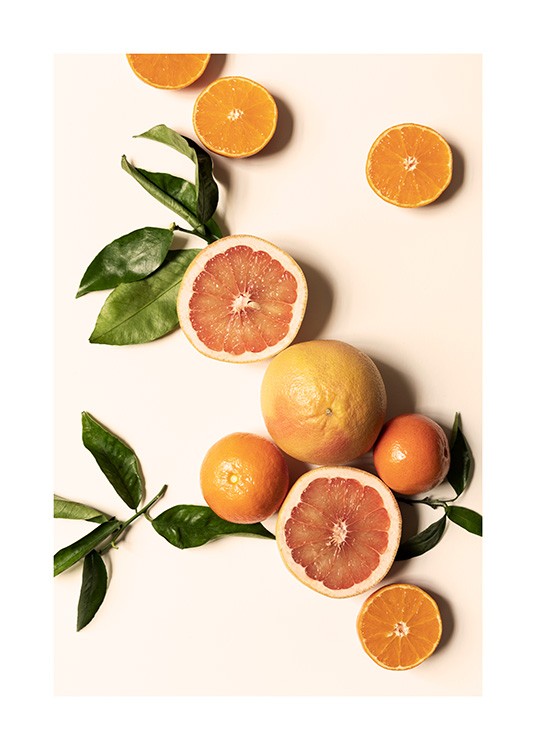 Fresh Citrus No1 Poster