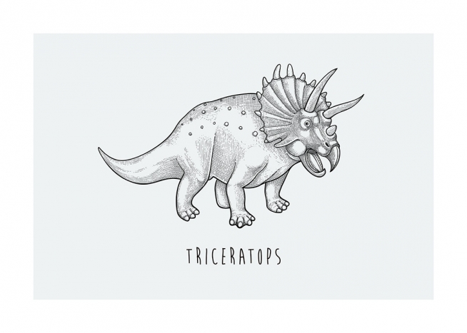 Triceratops Poster