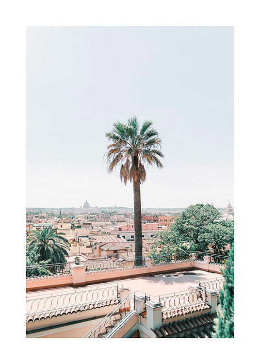 Palm Tree in Rome Poster