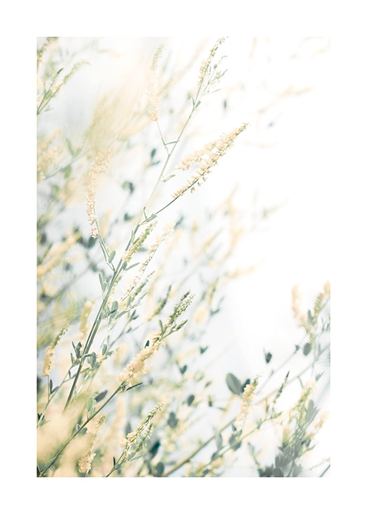 Light Floral Poster