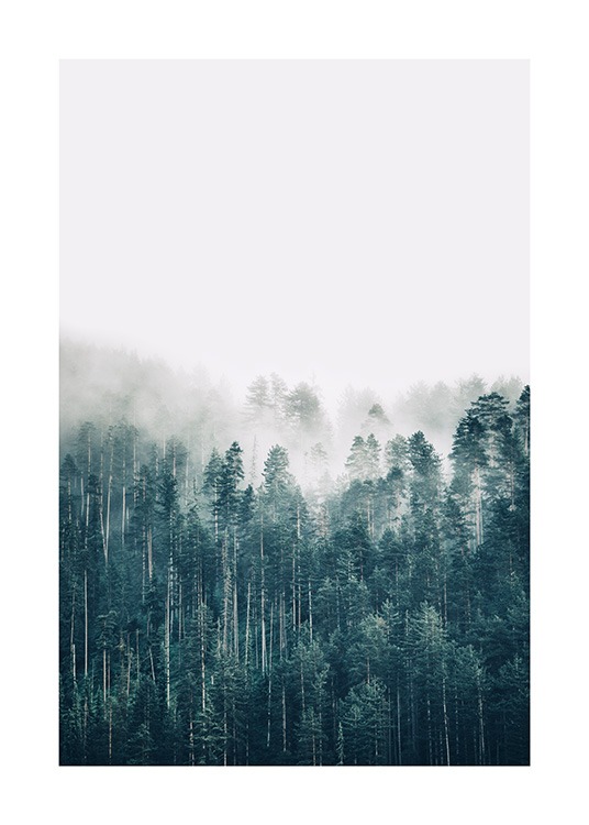 Hazy Forest Poster