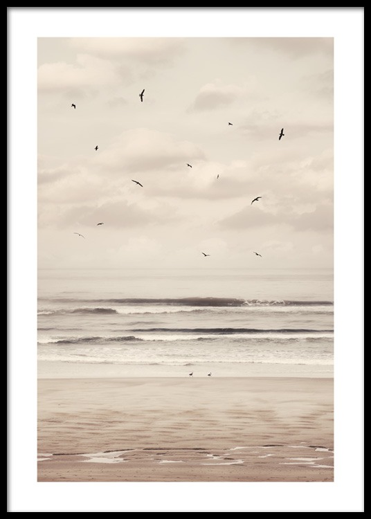  – Photograph of a beach and ocean with black birds flying in front of a cloudy sky