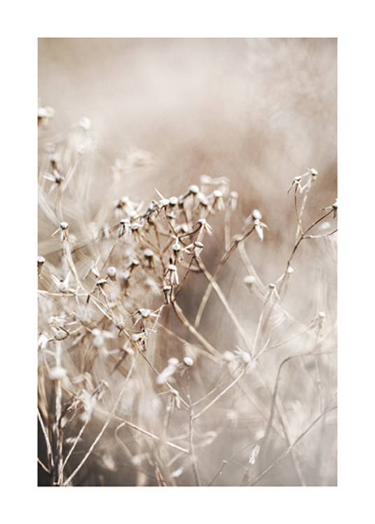  – Photograph with close up of a bundle of dried flowers in beige with a blurry background