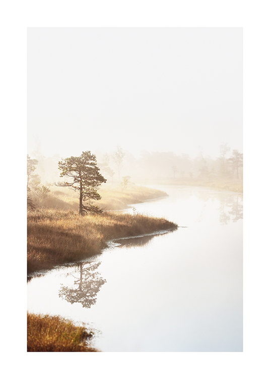  – Photograph of trees and grass next to water, with fog over the landscape