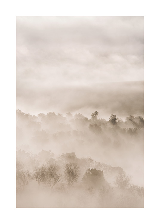 – A photograph of a foggy landscape with trees in beige colours