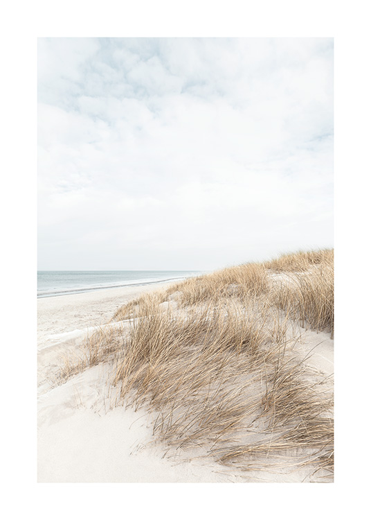 – Photography of sand dunes by the water 