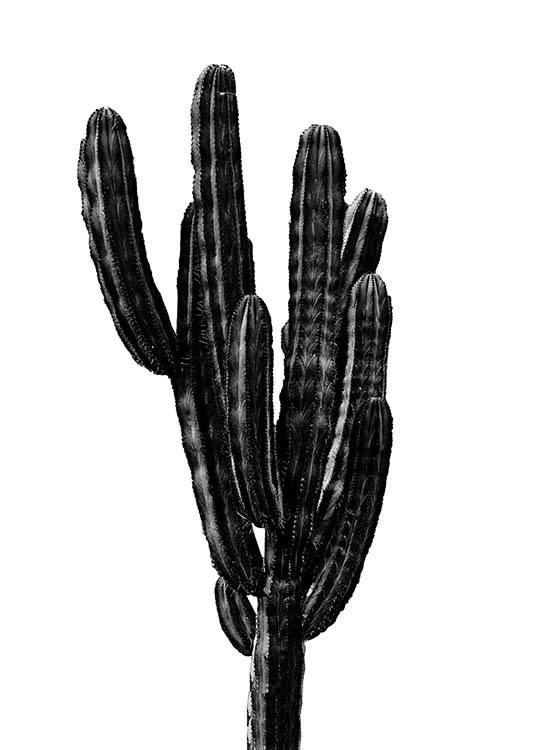  - Beautiful poster with a black cactus as the motif- suitable for all those who don't have a green fingers.