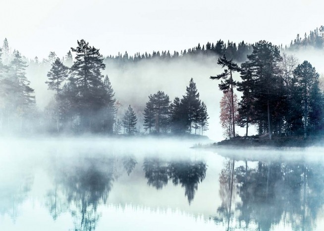 Foggy Lake Poster / Nature at Desenio AB (2720)