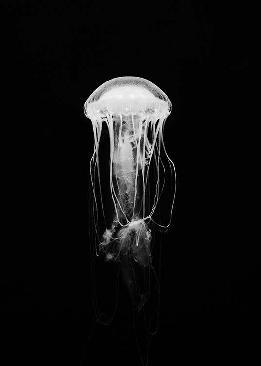 Jellyfish B&W Poster / Black & white at Desenio AB (2917)