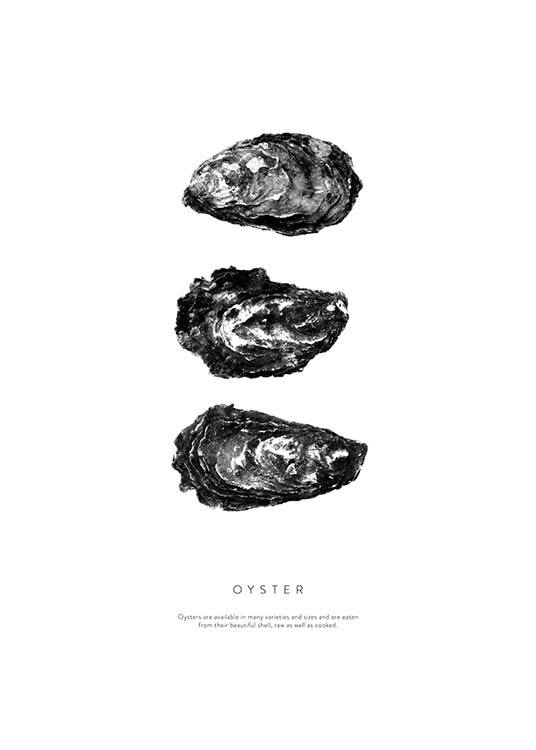 Oyster Three Poster