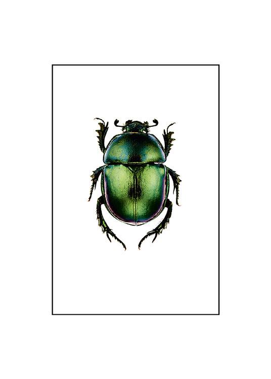 Beetle, Small / Vintage at Desenio AB (7430)