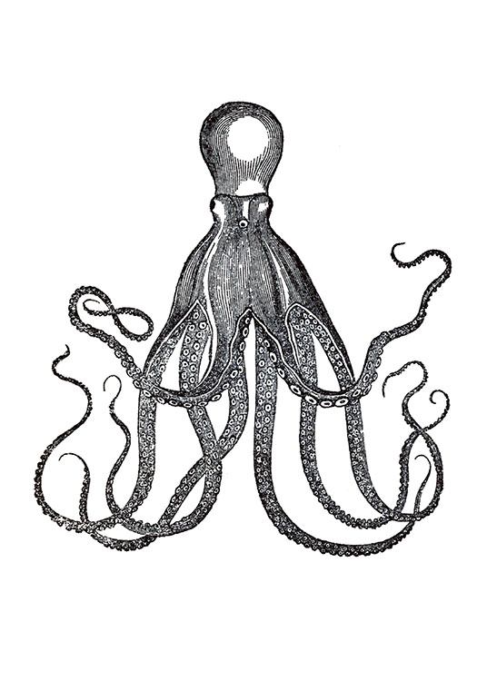 Vintage Octopus