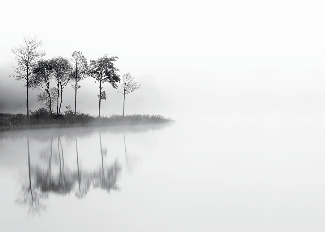 Lake And Trees, Poster