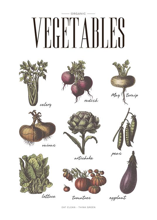 Vegetables, Poster