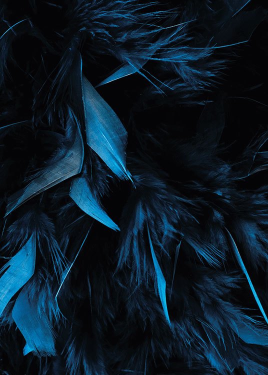 Blue Feathers, Poster / Photographs at Desenio AB (8483)