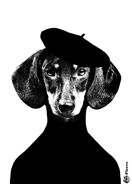 Lisa Bengtsson Pierre, Poster