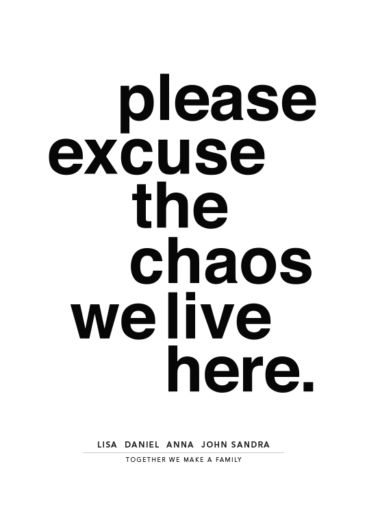 Please Excuse the Chaos Personal Poster